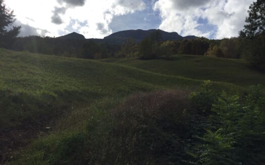 OFFERTA TERMINATA – TERRENO EDIFICABILE AD ACQUAROSSA – ID 20218