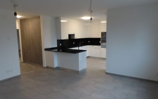 OFFERTA TERMINATA – PALAZZINA BIFAMILIARE A CONTONE – ID 20198