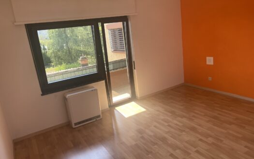 OFFERTA TERMINATA – CASA BIFAMILIARE A STABIO – ID 22377
