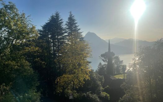 TERRENO AD ALDESAGO CON VISTA LAGO – ID 22641