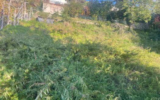 TERRENO AD ALDESAGO CON VISTA LAGO – ID 22641