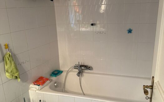 OFFERTA TERMINATA – CASA CON GIARDINO A BISSONE – ID 22984