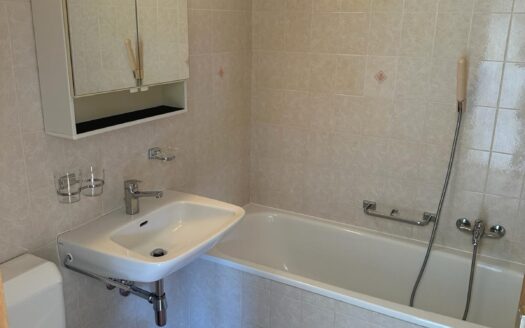 OFFERTA TERMINATA – 4,5 LOC. CON GIARDINO A CASLANO – ID 23388