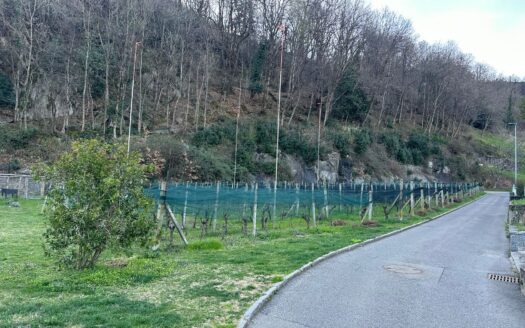 OFFERTA TERMINATA – TERRENO EDIFICABILE A BELLINZONA – ID 23419