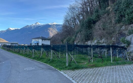OFFERTA TERMINATA – TERRENO EDIFICABILE A BELLINZONA – ID 23419