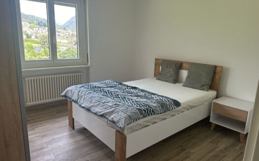 LUMINOSO 4,5 A GRAVESANO – ID 23457