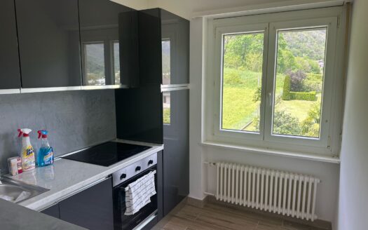 LUMINOSO 4,5 A GRAVESANO – ID 23457