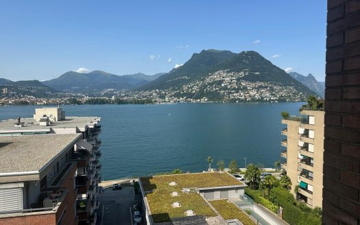 MONOLOCALE CON VISTA LAGO A PARADISO – ID 23576