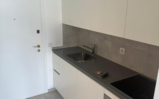 MONOLOCALE CON VISTA LAGO A PARADISO – ID 23576