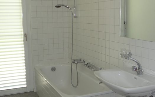 4,5 LOC. A PONTE CAPRIASCA CON GIARDINO – ID 23558