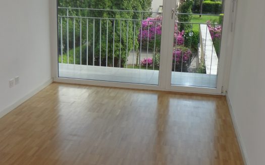 4,5 LOC. A PONTE CAPRIASCA CON GIARDINO – ID 23558