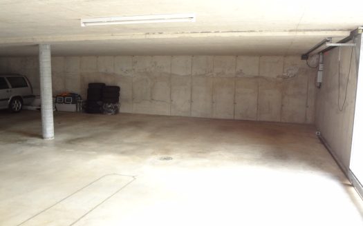 4,5 LOC. A PONTE CAPRIASCA CON GIARDINO – ID 23558