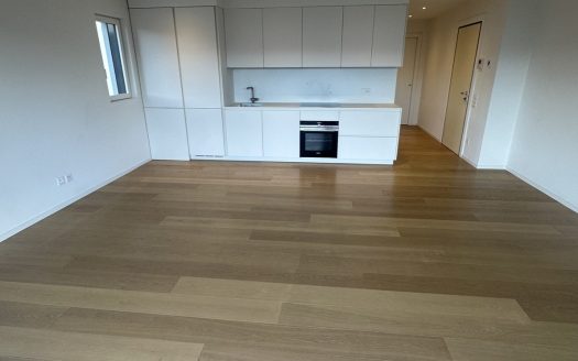 STRATEGICO 3,5 LOC. A LUGANO CON VISTA LAGO – ID 23625