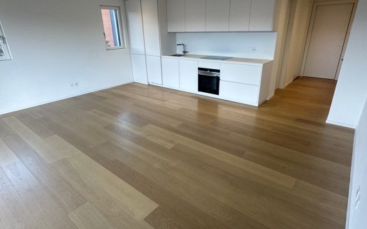 STRATEGICO 3,5 LOC. A LUGANO CON VISTA LAGO – ID 23625