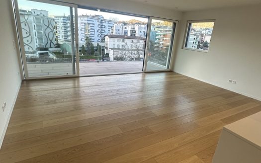 STRATEGICO 3,5 LOC. A LUGANO CON VISTA LAGO – ID 23625