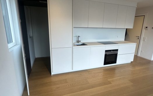 STRATEGICO 3,5 LOC. A LUGANO CON VISTA LAGO – ID 23625