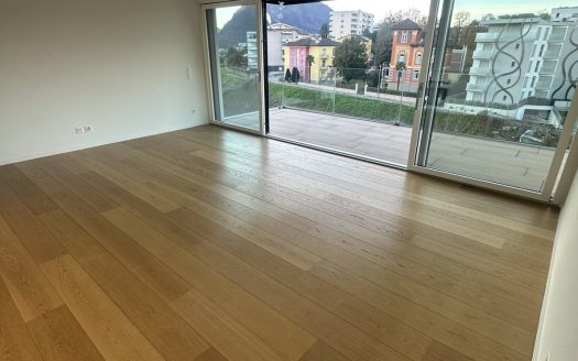 STRATEGICO 3,5 LOC. A LUGANO CON VISTA LAGO – ID 23625