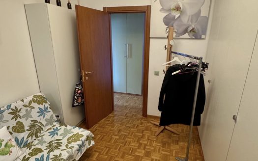 LUMINOSO 4,5 loc A LUGANO- ID 23761