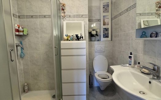 LUMINOSO 4,5 loc A LUGANO- ID 23761