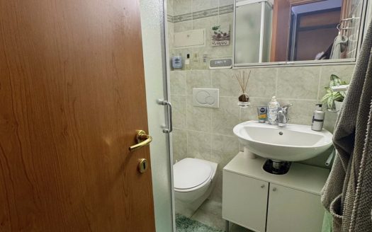 LUMINOSO 4,5 loc A LUGANO- ID 23761