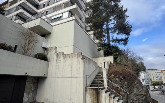 LUMINOSO 4,5 loc A LUGANO- ID 23761