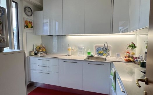 LUMINOSO 4,5 loc A LUGANO- ID 23761