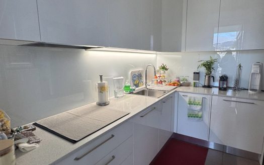 LUMINOSO 4,5 loc A LUGANO- ID 23761