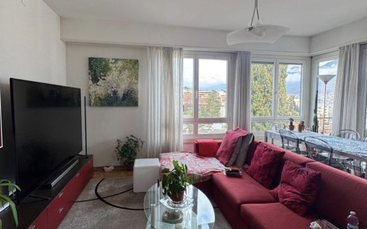 LUMINOSO 4,5 loc A LUGANO- ID 23761