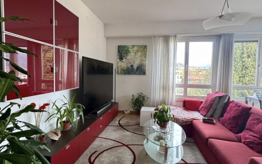 LUMINOSO 4,5 loc A LUGANO- ID 23761