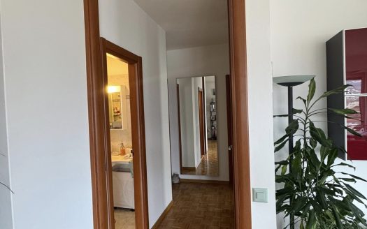 LUMINOSO 4,5 loc A LUGANO- ID 23761