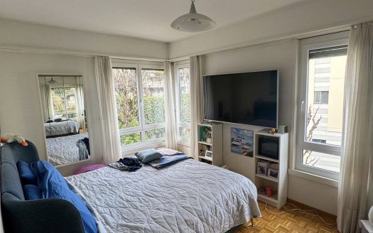 LUMINOSO 4,5 loc A LUGANO- ID 23761