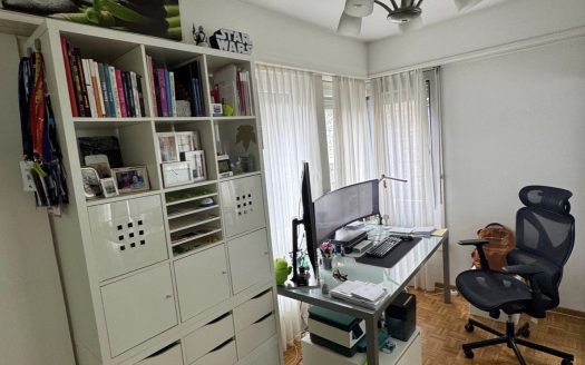 LUMINOSO 4,5 loc A LUGANO- ID 23761